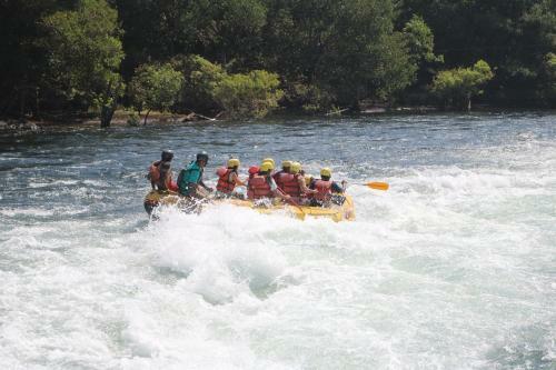 Dandeli - Jungle Nest