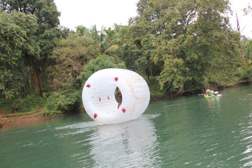 Dandeli - Jungle Nest
