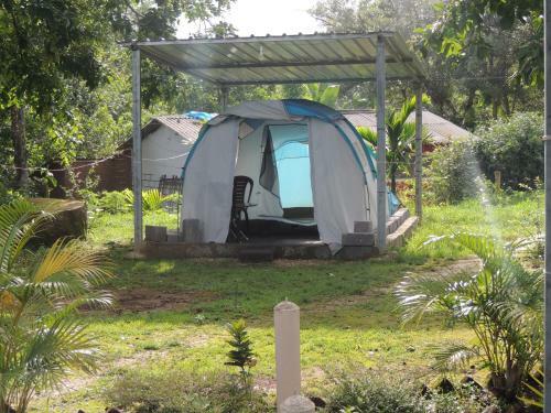 Dandeli - Jungle Nest