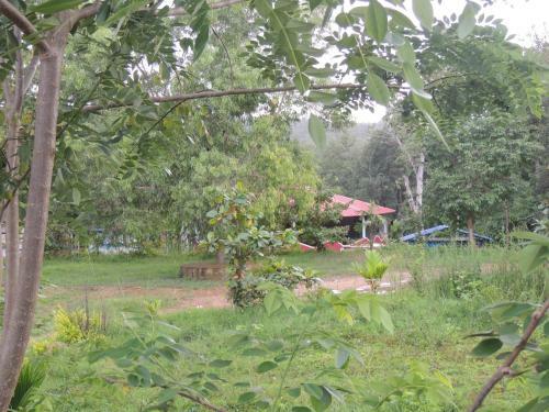 Dandeli - Jungle Nest