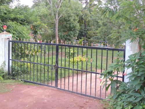 Dandeli - Jungle Nest