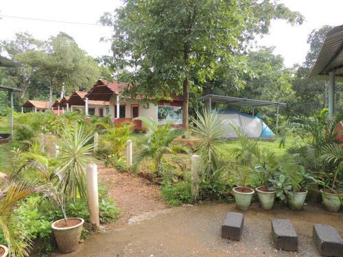 Dandeli - Jungle Nest