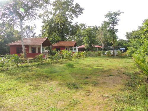 Dandeli - Jungle Nest
