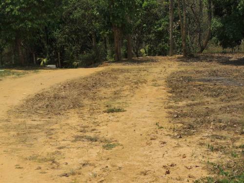 Dandeli - Jungle Nest