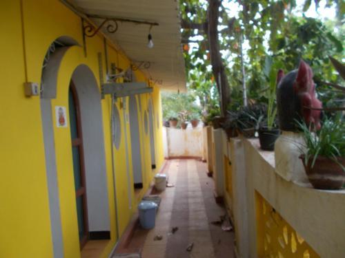 Hostal Orly Cafe And Guest House