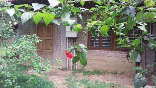 Hostal Isai Ambalam Guest House