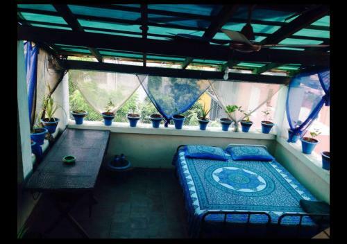 Rock Beach House