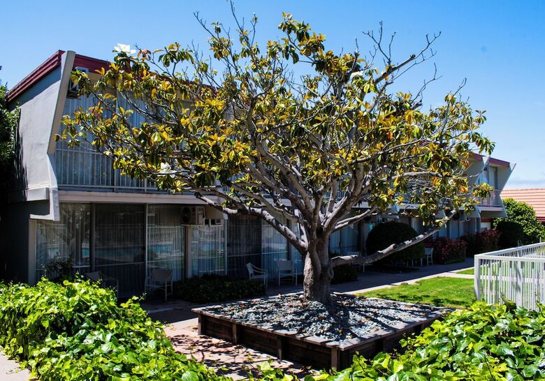 Hotel Monterey Bay Travelodge