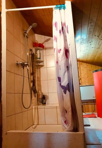 Apartamento Breitmoos