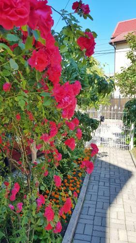 Hostal U Bashni Guest House