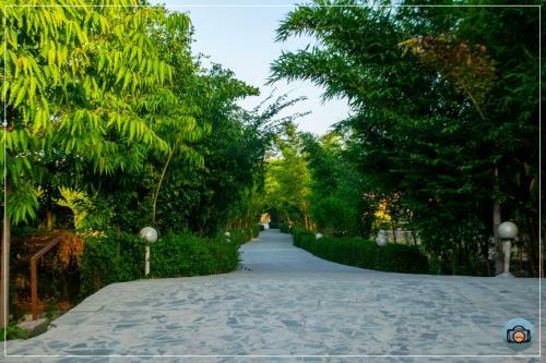 Hotel Aura Corbett Resort