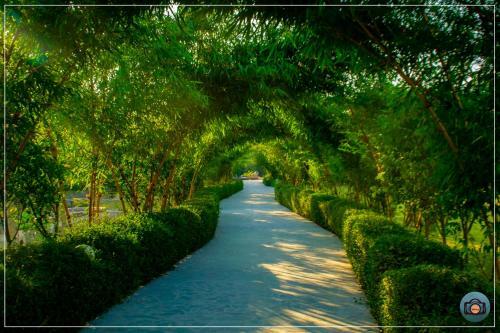 Hotel Aura Corbett Resort