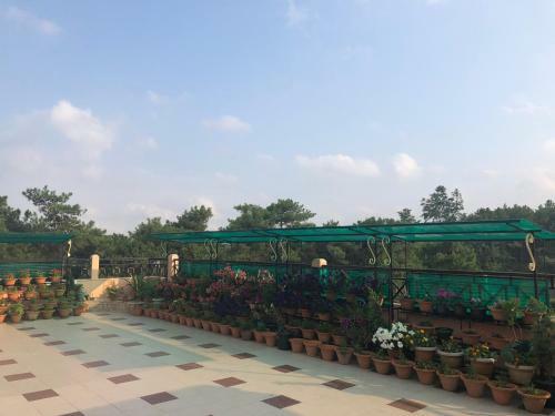 Hostal Orange Homestay