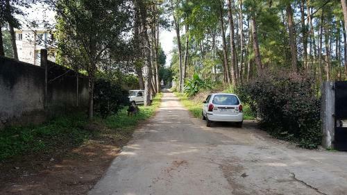 Apartamento Pineville Bed & Breakfast