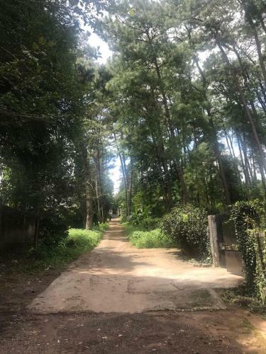 Apartamento Pineville Bed & Breakfast