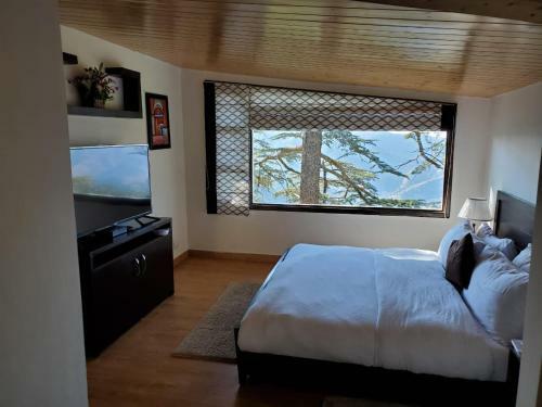 Apartamento Holiday In Homestay