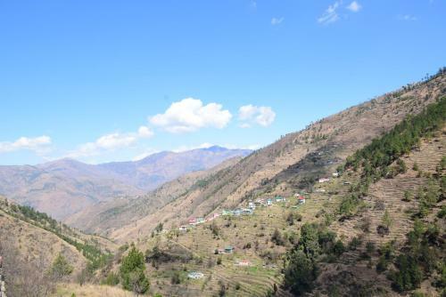 Oaktree Homestay