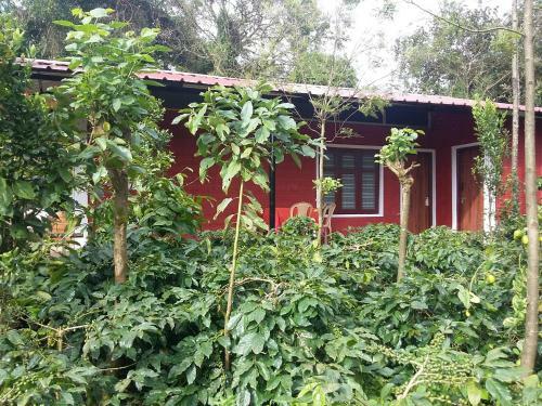 Athena Homestay
