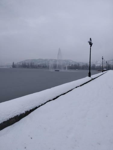 Houseboat Young Snow View Front Line Dal Lake