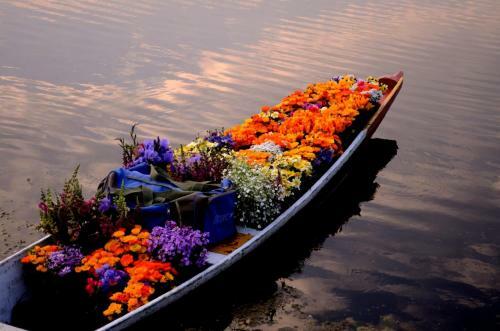 Houseboat New Suzan