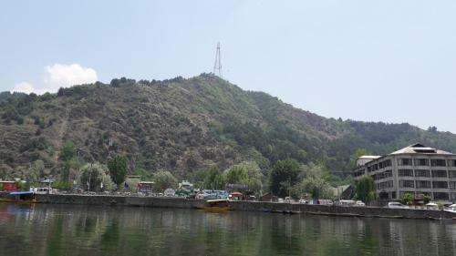 House Boat New Cherry Ripe