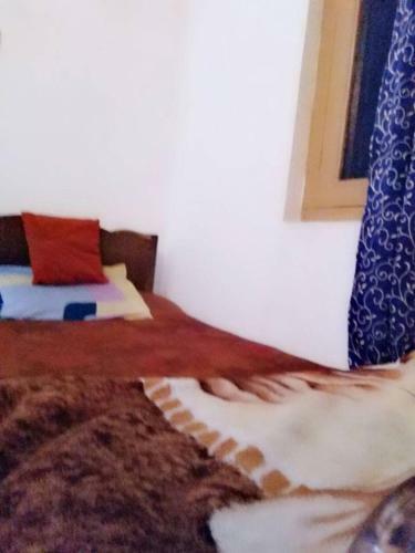 Shamus Javed Home Stay