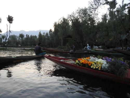 New Shamus Maqbool Group Of Houseboat