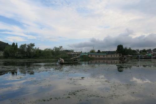 New Shamus Maqbool Group Of Houseboat