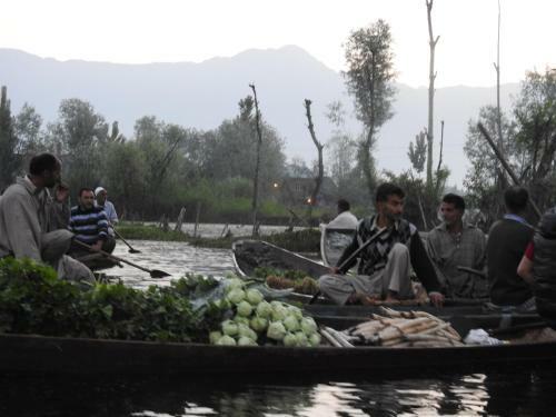 New Shamus Maqbool Group Of Houseboat