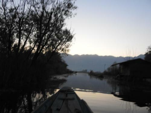 New Shamus Maqbool Group Of Houseboat
