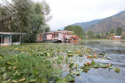 New Shamus Maqbool Group Of Houseboat