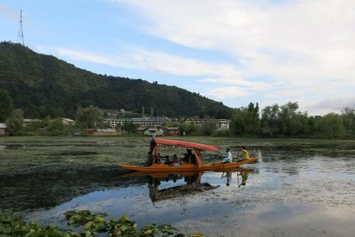 New Shamus Maqbool Group Of Houseboat