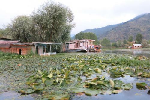 New Shamus Maqbool Group Of Houseboat