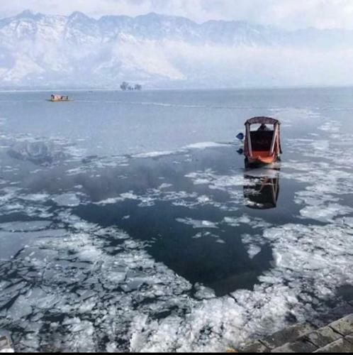 New Shamus Maqbool Group Of Houseboat
