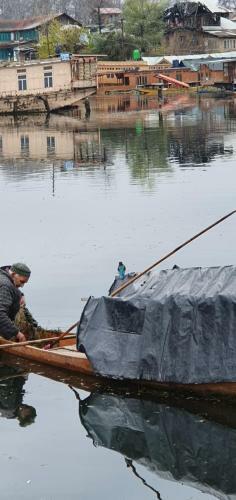 New Shamus Maqbool Group Of Houseboat