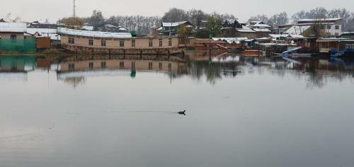 New Shamus Maqbool Group Of Houseboat