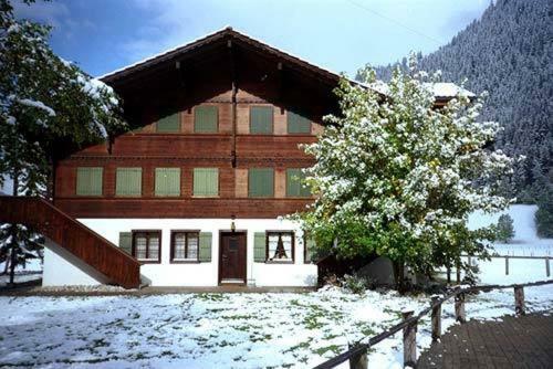 Apartamentos Ferienwohnung Lenk