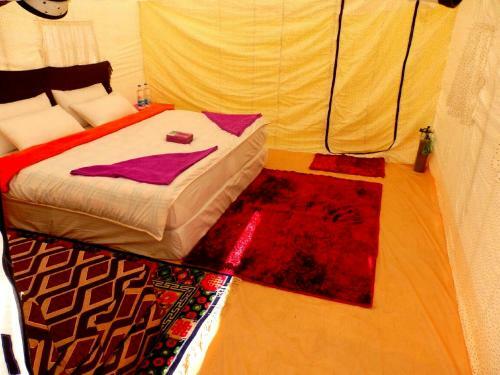 Tih The Regal Camp Pangong