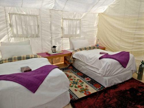 Tih The Regal Camp Pangong
