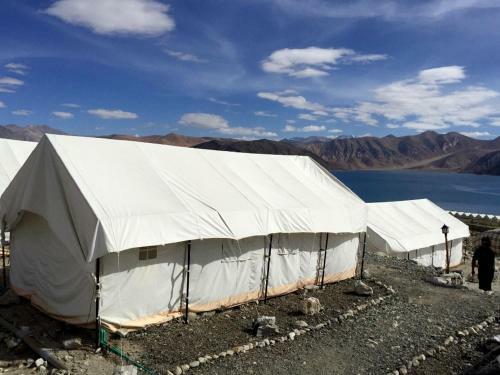 Tih The Regal Camp Pangong