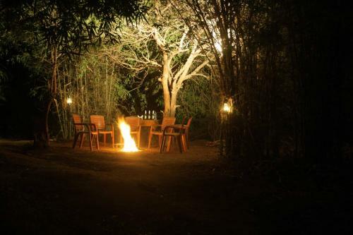 Hotel The Wildflower Resort At Bandhavgarh