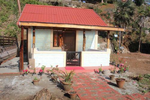 Solacetone Homestay