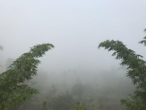 Hotel Wayanad Hilltop Holiday Home