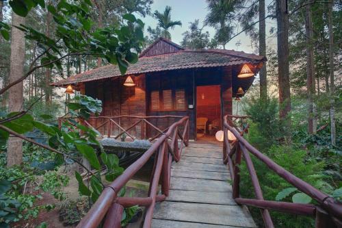 Hotel Paddington Resorts And Spa
