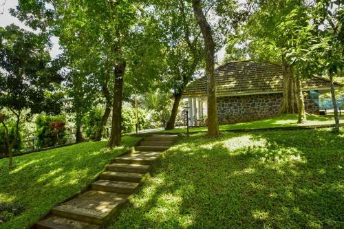 Agroturismo Hotel Treetop