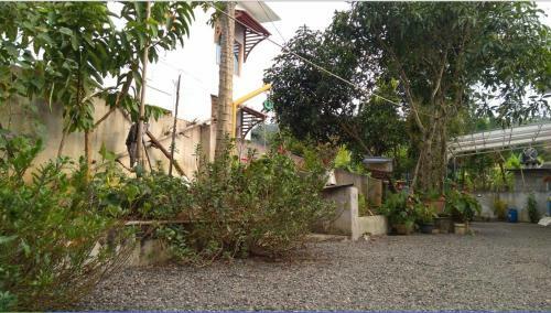 Dolphin Homestay