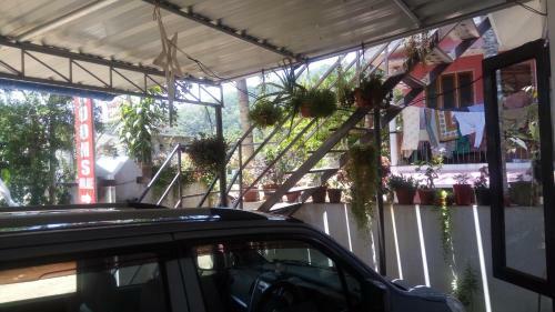 Spicegreen Homestay
