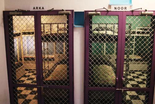 Gypsy Child Lake Hostel Udaipur