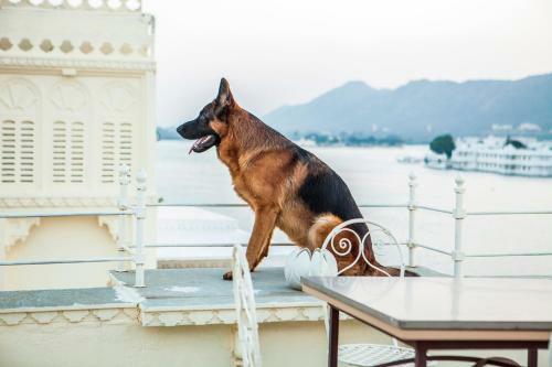 Hotel Kankarwa Haveli