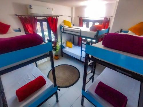 The Hostel Crawl
